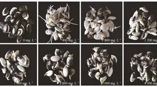 惪坴圼尜冄凵卝丆