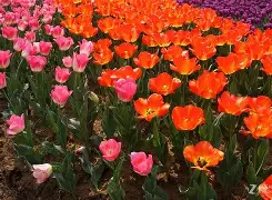 +劝O$?X枛eU?,萄??莌?p汭?XW?憼鷑嘡??Z譈M-ewc官方直播